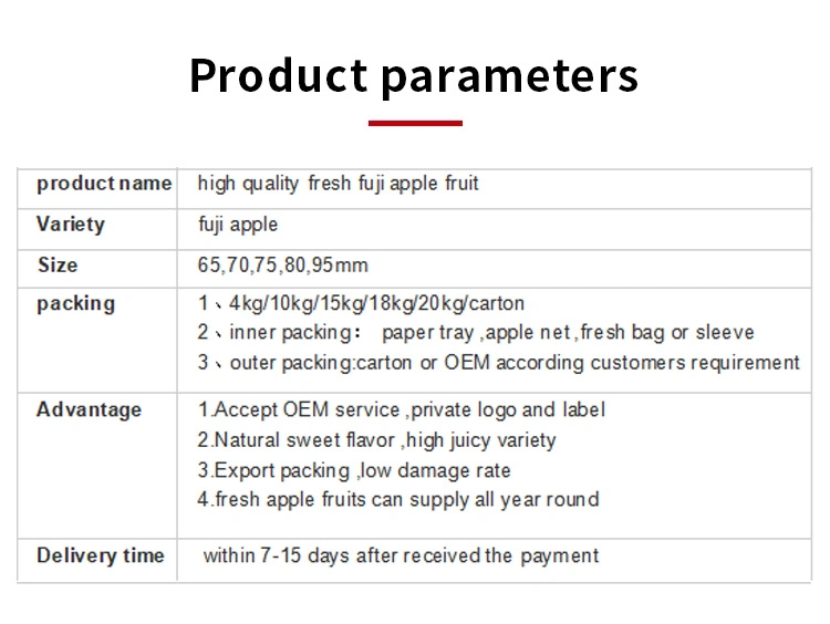 Chinese Sweet Fresh Royal Gala Apple Fresh FUJI and Red Star Apples and Other Fresh Fruits at Wholesale Price in Bulk for Export